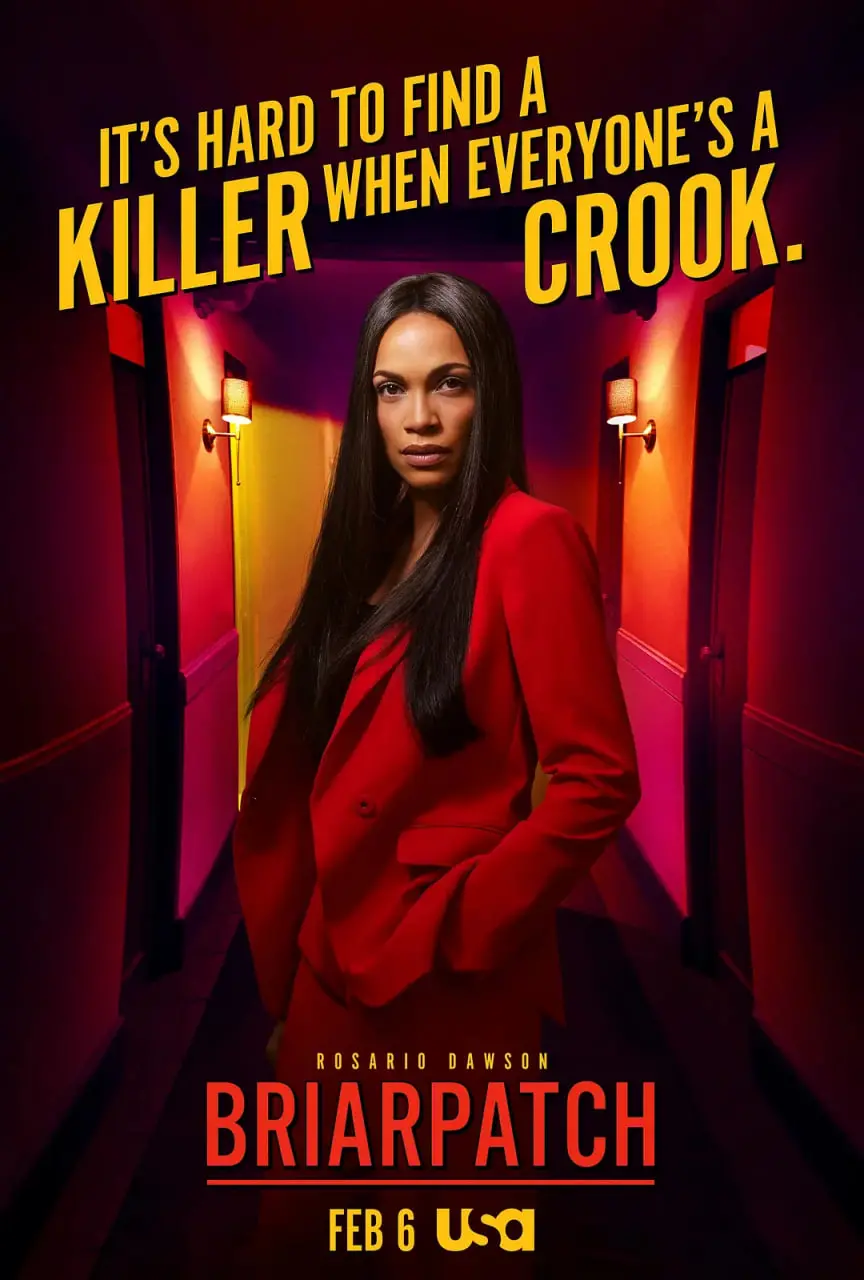 《荆棘丛》：爱与痛的边缘试探，悬疑包裹下的致命吸引力！