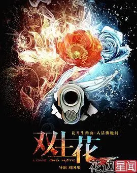 《双生花》：当镜像人生遇上命运捉弄，是情深缘浅还是血脉相连？