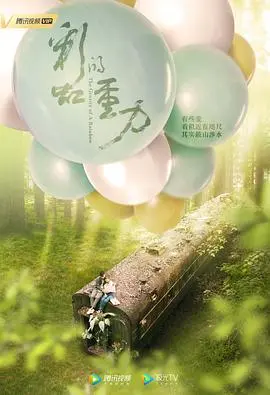 《彩虹的重力》：穿越时空的爱恋，重塑生命坐标的浪漫奇迹