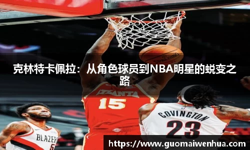 克林特卡佩拉：从角色球员到NBA明星的蜕变之路